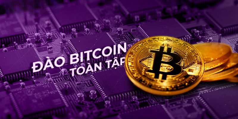 app đào coin