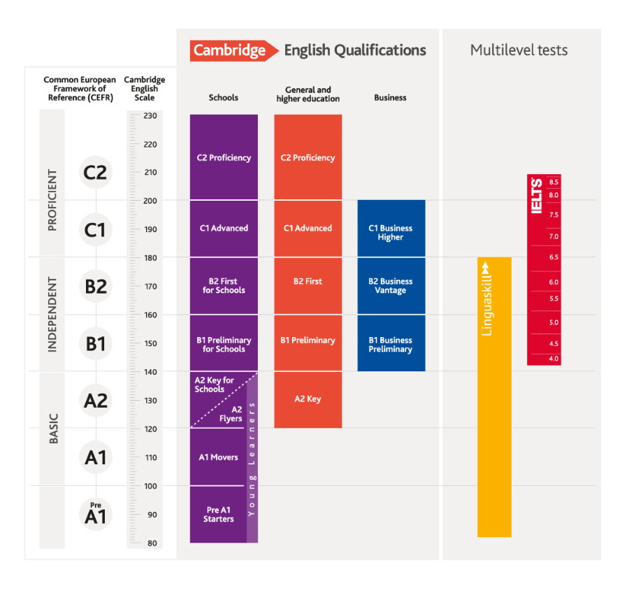 TFLat và Cambridge English Write & Improve - Công cụ hỗ trợ học IELTS hiệu quả