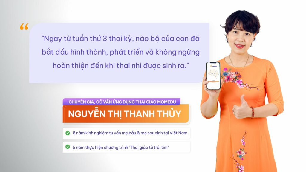 Top 10 app theo dõi thai kỳ tốt nhất giúp mẹ bầu quản lý sức khỏe
