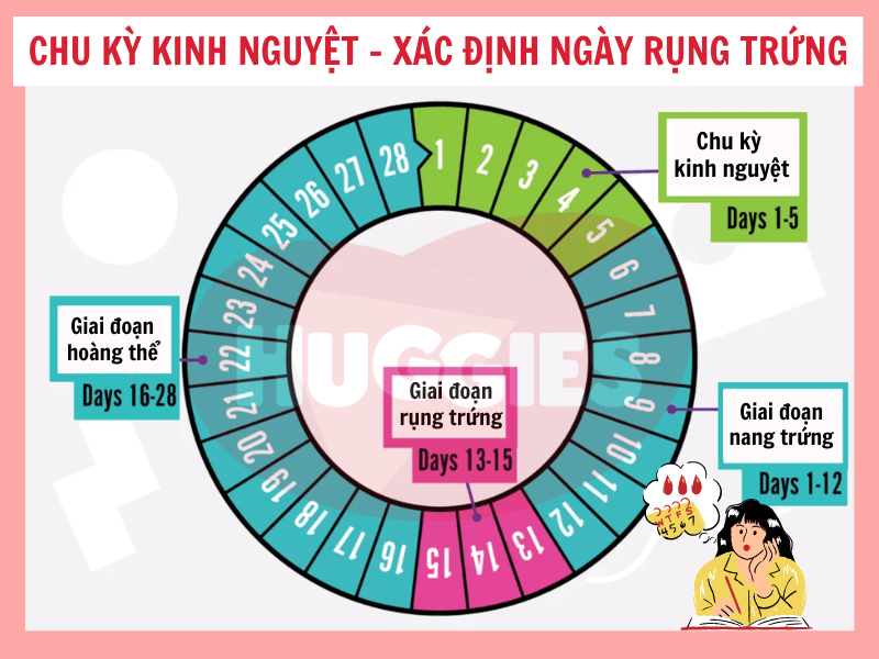 Top 3: Ovia - Bài toán nhận biết ngày rụng trứng dựa vào dữ liệu lớn