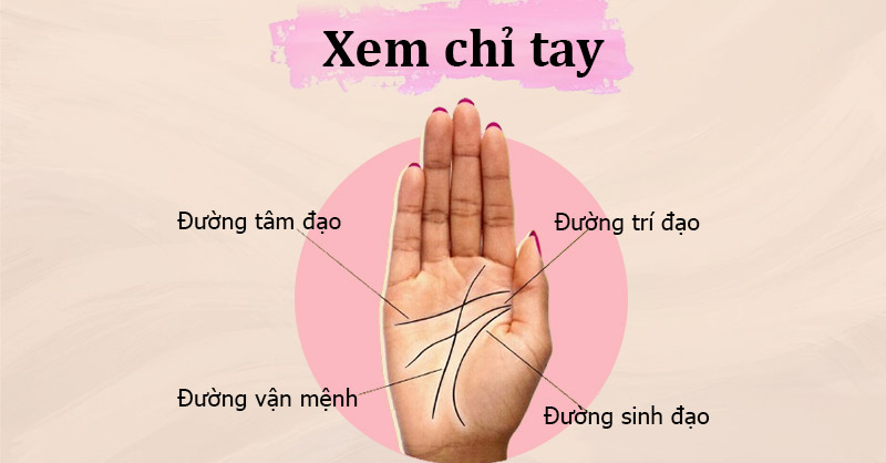 Top 3: Ứng dụng Bói tay, tử vi, chỉ tay - Giải mã vận mệnh qua đường chỉ tay