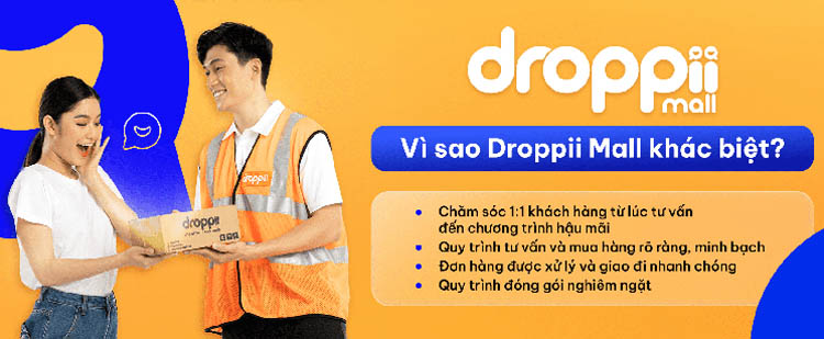 Top 4: Droppii - App kiếm tiền hàng đầu cho người bán hàng online