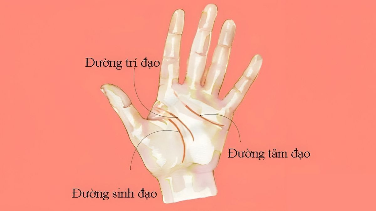 Top 4: Ứng dụng Tử vi Huyền Các - Giải mã vận mệnh qua đường chỉ tay